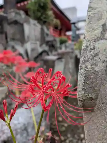 福寿院(東京都)