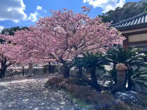 誕生寺(千葉県)