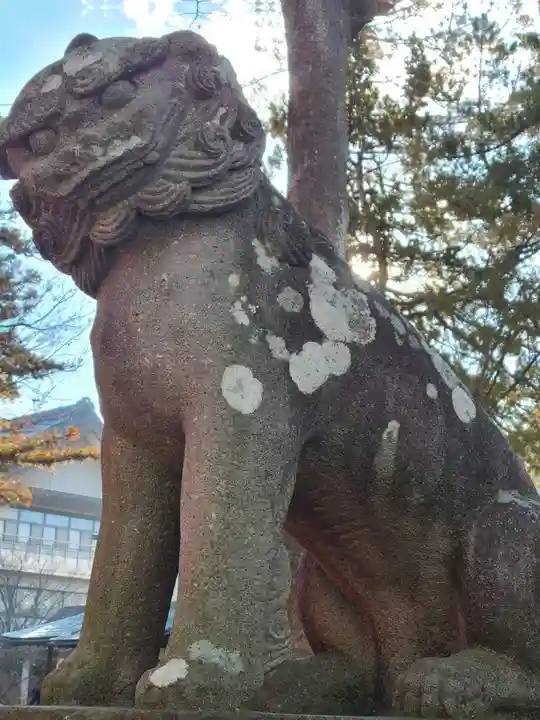 深志神社の狛犬