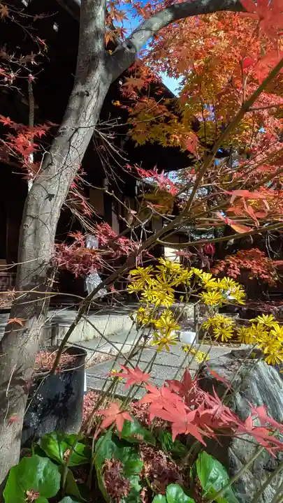 勝林寺(京都府)