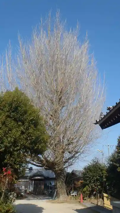 徳翁院(愛知県)