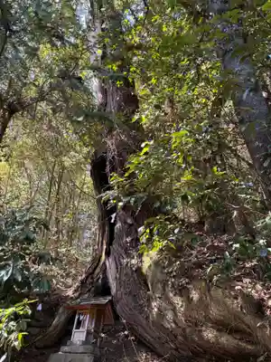 飯田八幡神社(埼玉県)