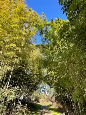 菰屋八幡宮の周辺