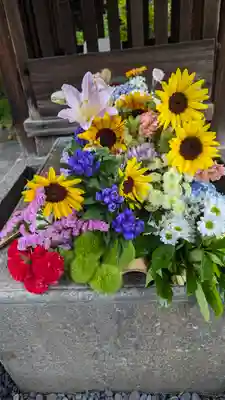 勝林寺(京都府)