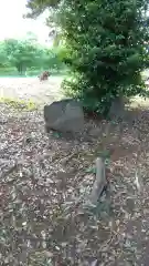 鹿嶋神社の自然