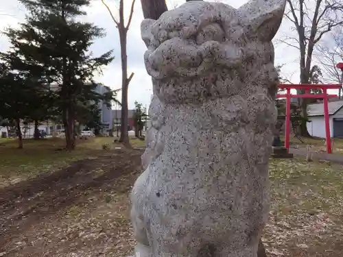 空知神社の狛犬