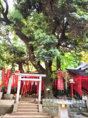 乃木神社(東京都)