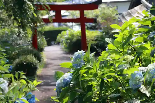 三春駒神社の鳥居