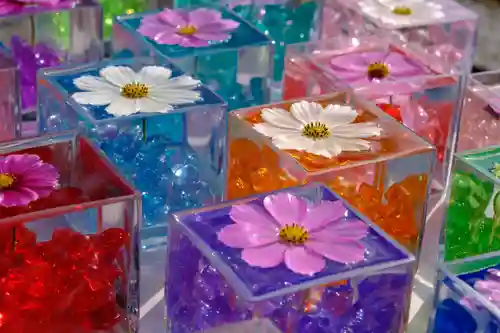 般若寺 ❁﻿コスモス寺❁(奈良県)