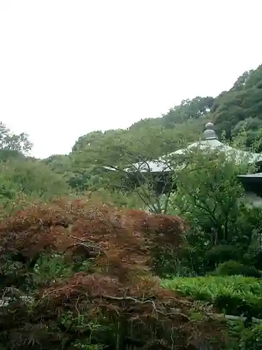 瑞泉寺の庭園