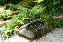 吉水神社の手水