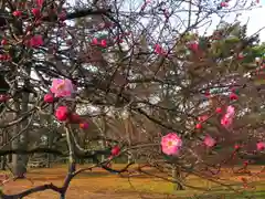 白雲神社の自然