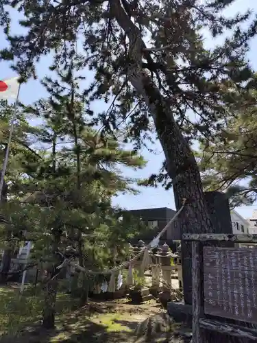 長浜八幡宮(滋賀県)