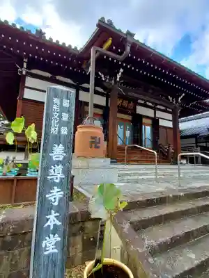善導寺の本殿・本堂