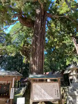 元伊勢内宮 皇大神社(京都府)