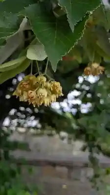 くろ谷 金戒光明寺(京都府)