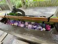 楽法寺(雨引観音)の手水舎