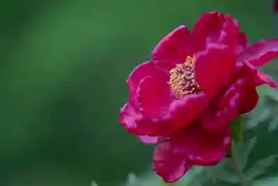 伊勢の国 四天王寺(三重県)