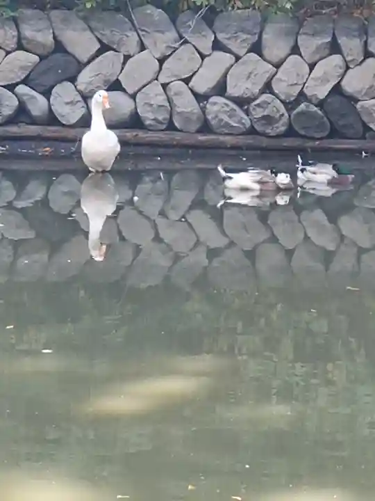 生島足島神社(長野県)