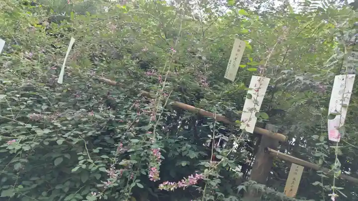 梨木神社(京都府)