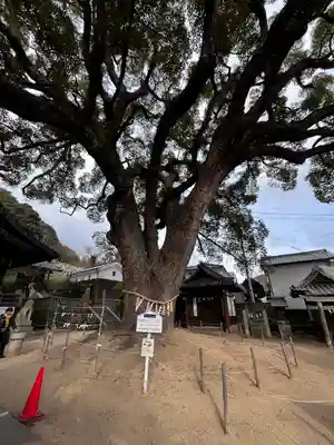 艮神社(広島県)