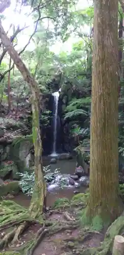 成田山新勝寺(千葉県)