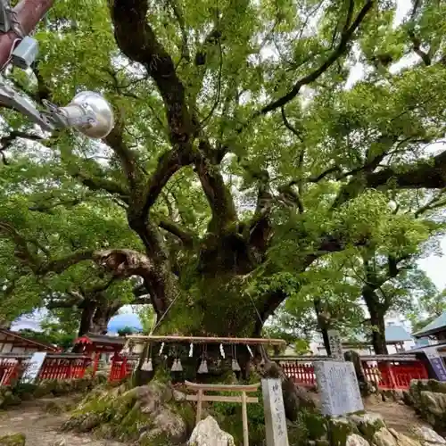 宇美八幡宮(福岡県)