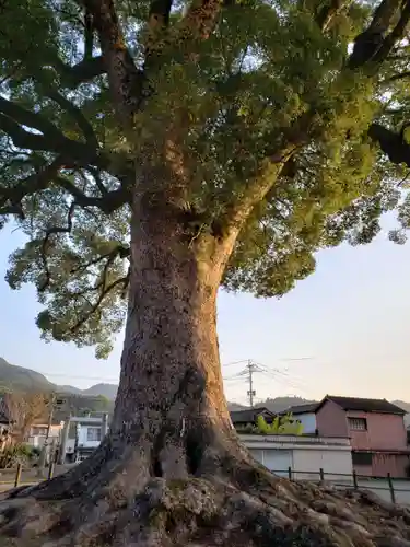 津江神社の自然