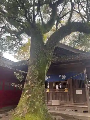 青井阿蘇神社(熊本県)