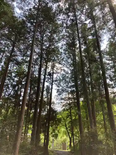 八幡神社松平東照宮の自然