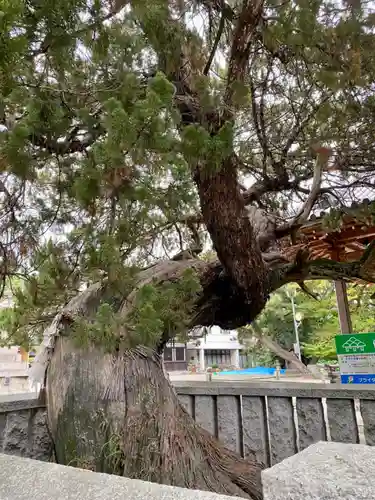 高砂神社(兵庫県)