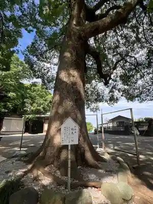 五社神社(神奈川県)