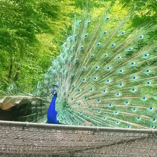 楽法寺（雨引観音）(茨城県)