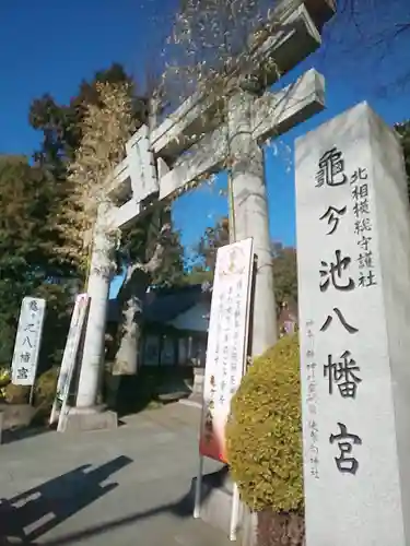 亀ケ池八幡宮の鳥居