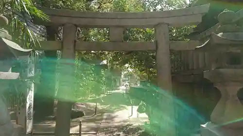 菅生神社の鳥居