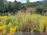 御髪神社(京都府)