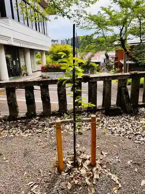 天鷹神社(岐阜県)
