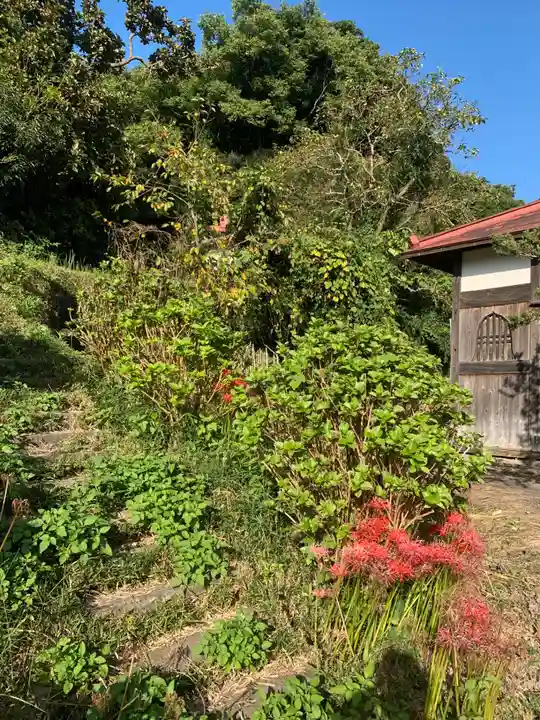 経蔵寺(千葉県)