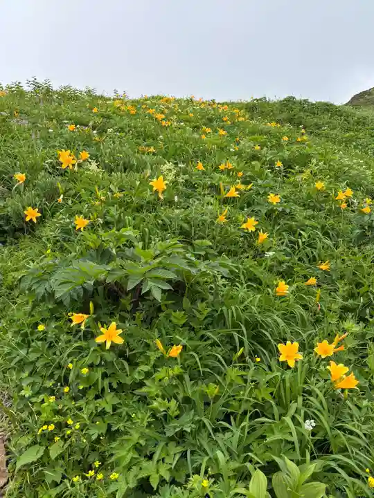 白山比咩神社 奥宮(石川県)