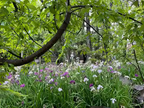 市原稲荷神社(愛知県)
