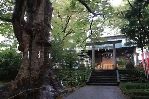 愛宕神社の景色