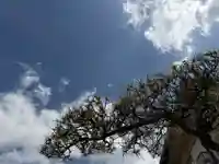 西方山極楽寺(岐阜県)