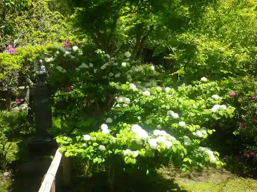 浄光明寺の庭園