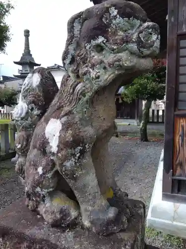 知原神社（智原神社）(福井県)