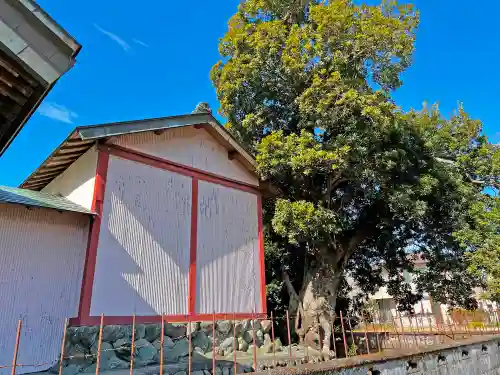 田中神社の本殿