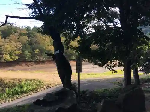 赤猪岩神社(鳥取県)