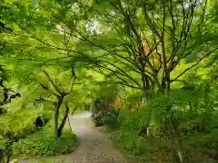 神藏寺の周辺