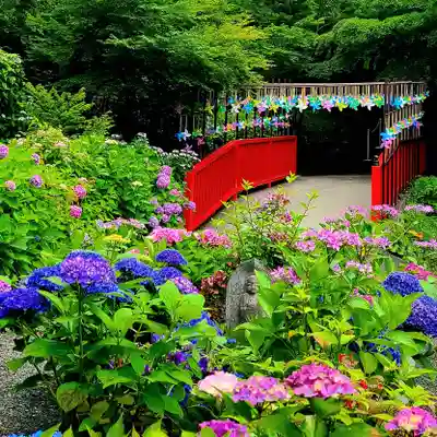 普門寺(切り絵御朱印発祥の寺)(愛知県)