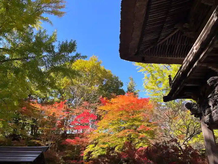 霊松寺(長野県)