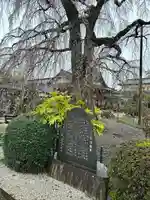 阿弥陀寺のその他建物